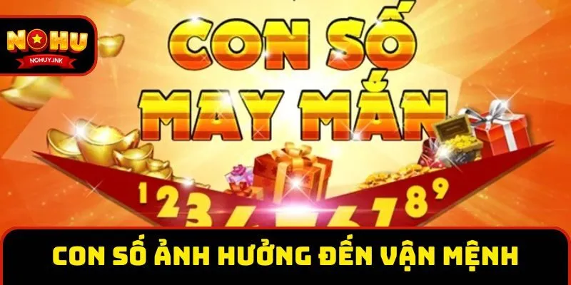 Con số ảnh hưởng trực tiếp đến vận mệnh Con số ảnh hưởng trực tiếp đến vận mệnh