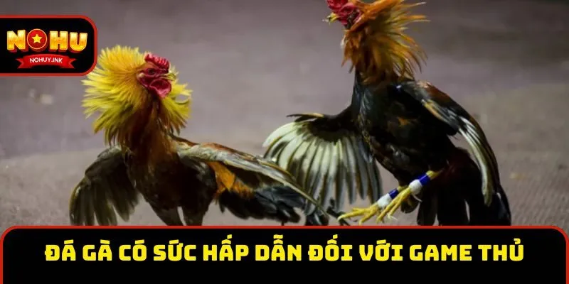Đá gà có sức hấp dẫn đối với game thủ Đá gà có sức hấp dẫn đối với game thủ